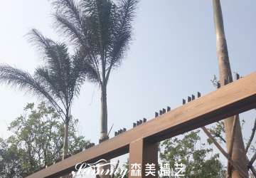 海南海花島七星酒店鋼構(gòu)廊架木紋漆施工案例